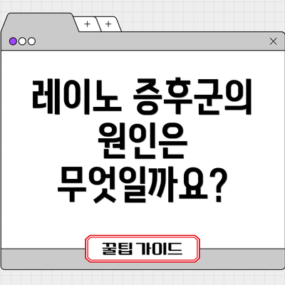레이노 증후군의 원인은 무엇일까요?