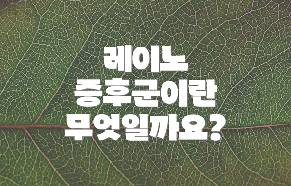 레이노 증후군이란 무엇일까요?