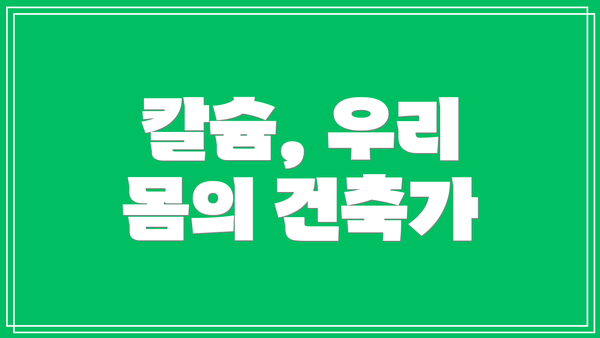 칼슘, 우리 몸의 건축가