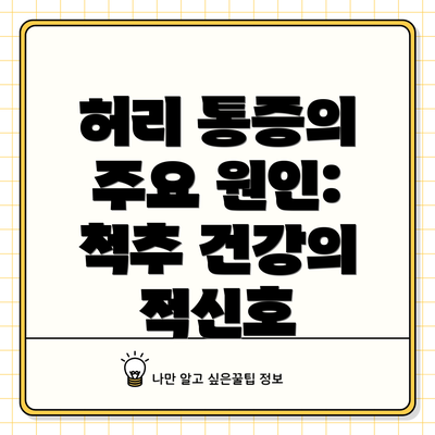 허리 통증의 주요 원인: 척추 건강의 적신호