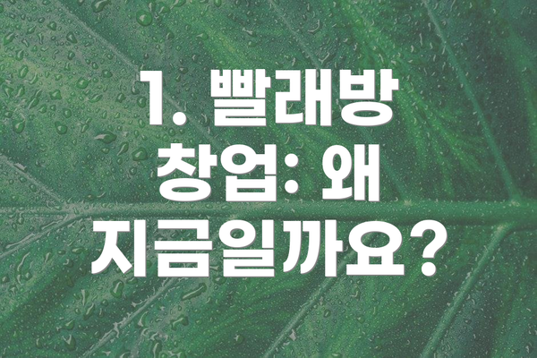 1. 빨래방 창업: 왜 지금일까요?