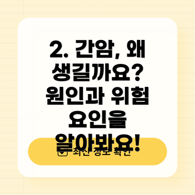 2. 간암, 왜 생길까요?  원인과 위험 요인을 알아봐요!
