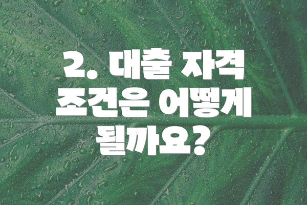 2. 대출 자격 조건은 어떻게 될까요?