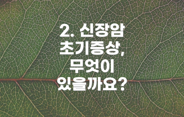 2. 신장암 초기증상, 무엇이 있을까요?