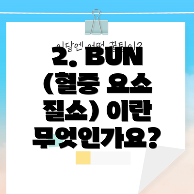 2. BUN (혈중 요소 질소) 이란 무엇인가요?