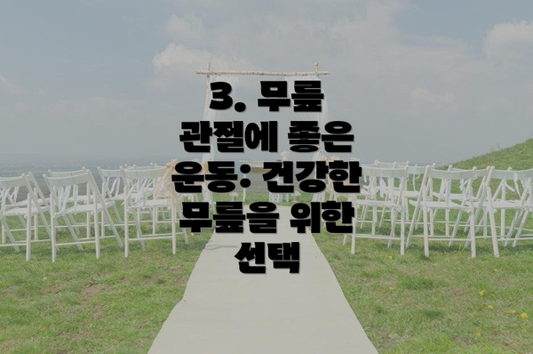 3. 무릎 관절에 좋은 운동: 건강한 무릎을 위한 선택