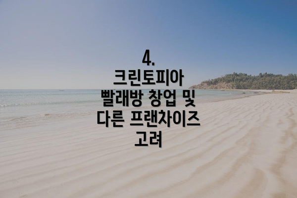 4.  크린토피아 빨래방 창업 및 다른 프랜차이즈 고려