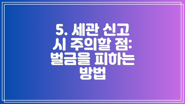 5. 세관 신고 시 주의할 점: 벌금을 피하는 방법