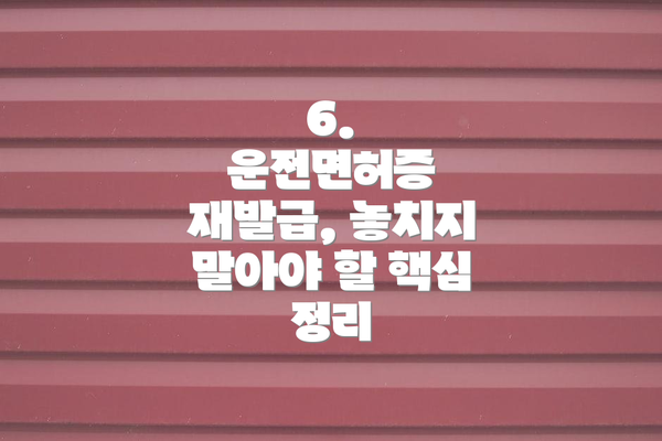 6.  운전면허증 재발급, 놓치지 말아야 할 핵심 정리