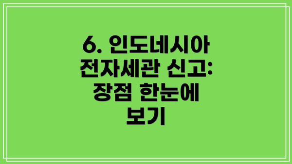 6. 인도네시아 전자세관 신고: 장점 한눈에 보기