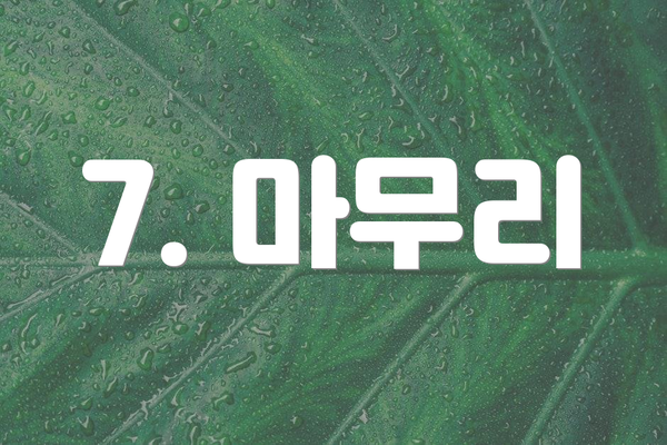 7. 마무리