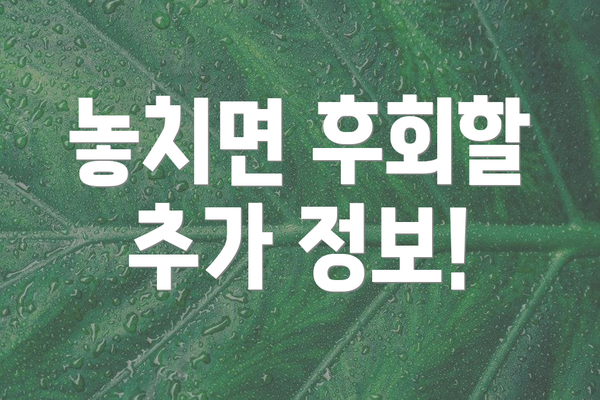 놓치면 후회할 추가 정보!
