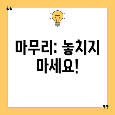마무리: 놓치지 마세요!