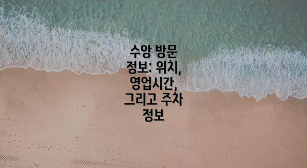 수앙 방문 정보: 위치, 영업시간, 그리고 주차 정보
