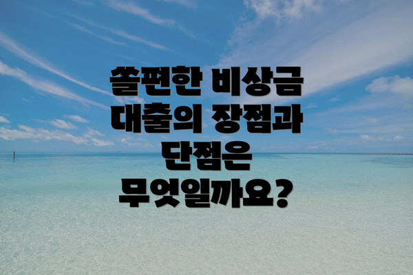 쏠편한 비상금 대출의 장점과 단점은 무엇일까요?