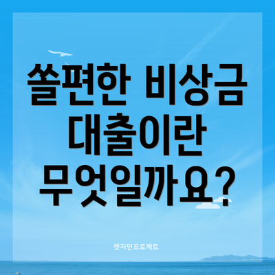 쏠편한 비상금 대출이란 무엇일까요?