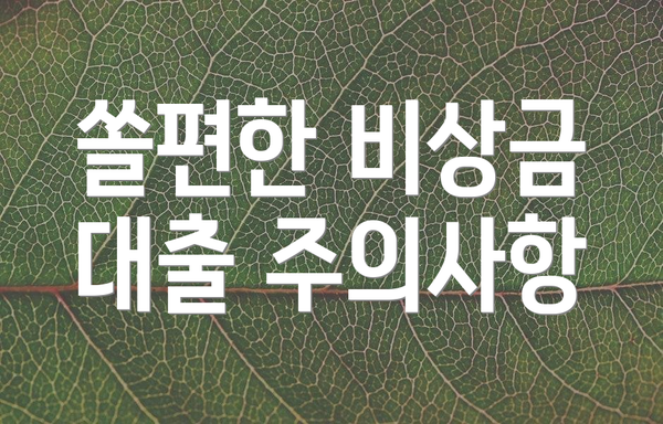 쏠편한 비상금 대출 주의사항