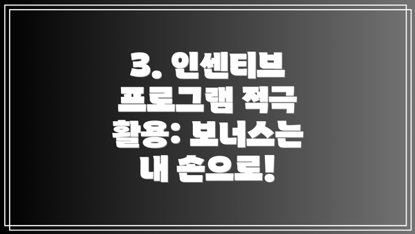 3. 인센티브 프로그램 적극 활용: 보너스는 내 손으로!