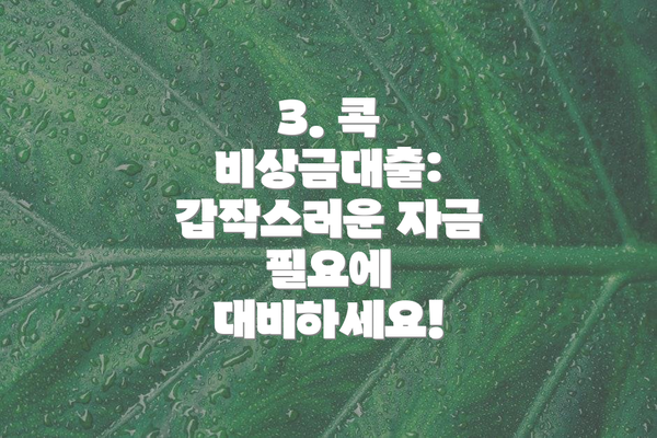3. 콕 비상금대출:  갑작스러운 자금 필요에 대비하세요!