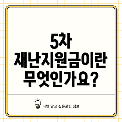5차 재난지원금이란 무엇인가요?