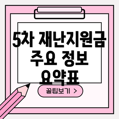 5차 재난지원금 주요 정보 요약표