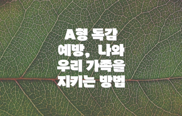 A형 독감 예방,  나와 우리 가족을 지키는 방법