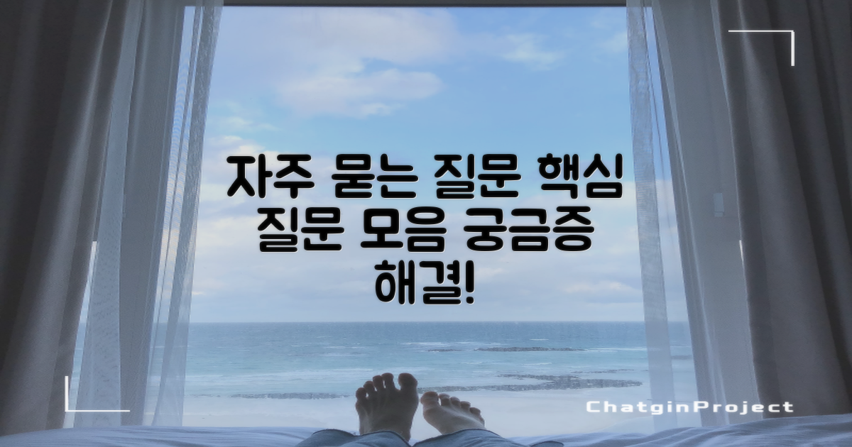 자주 묻는 질문