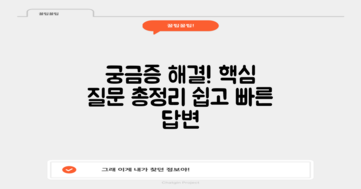 자주 묻는 질문